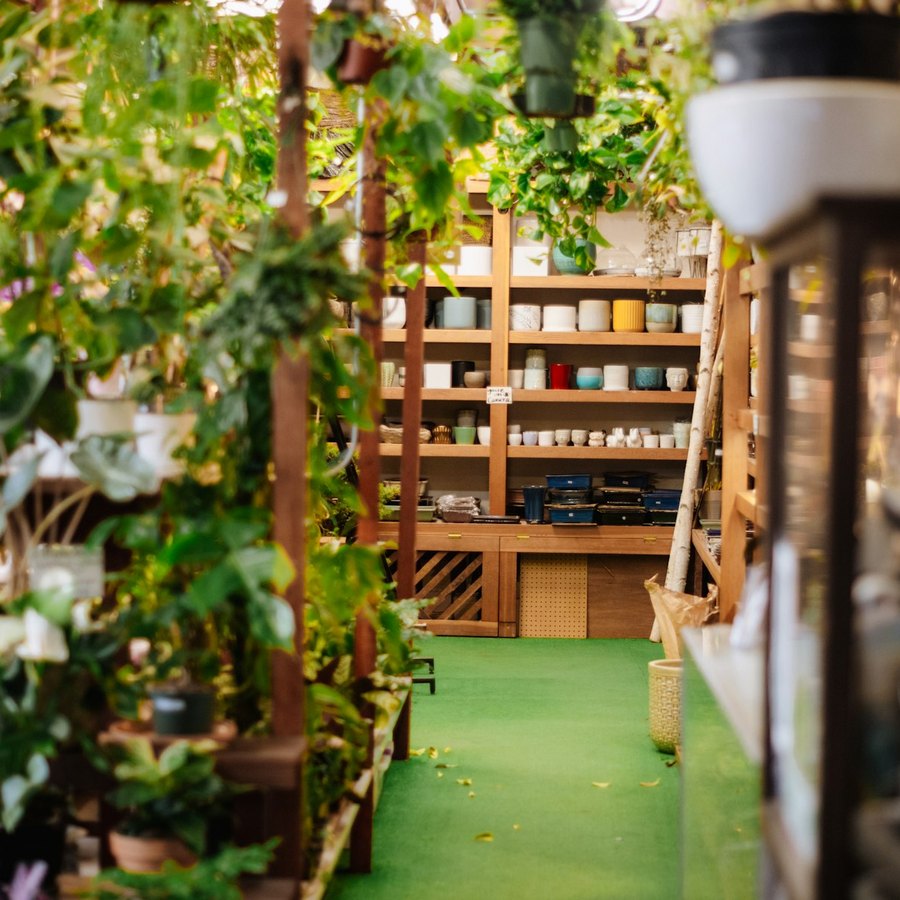 チューリップが並ぶ春の店頭のサンプル写真