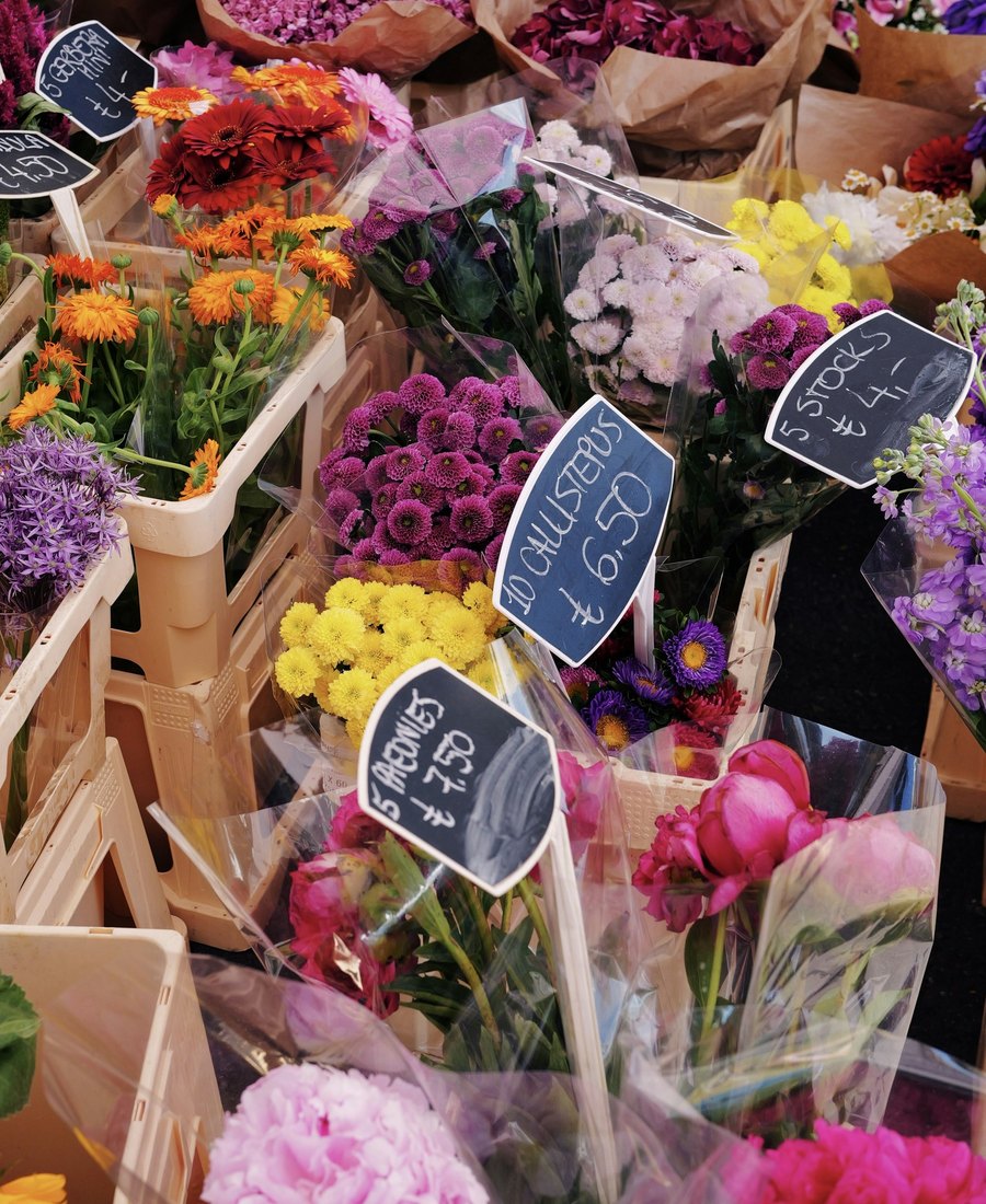 季節の花のイメージ写真